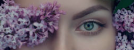 Eye framed by soft lilac flowers